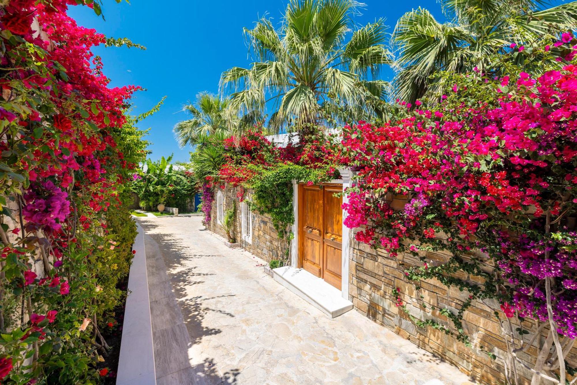 Porto Zante Villas And Spa Tragaki Esterno foto